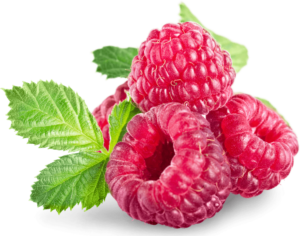 Raspberry