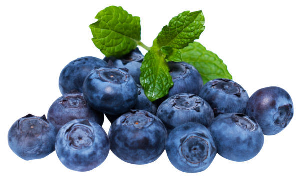 Fresh Blueberry 125 g