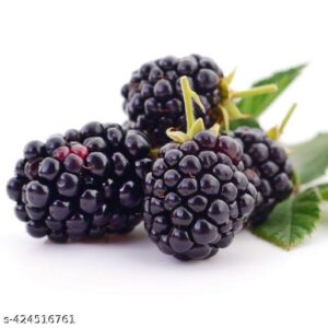 BlackBerry
