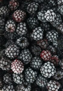 Close-up of fresh frozen blackberries covered in hoarfrost, showcasing texture and freshness.