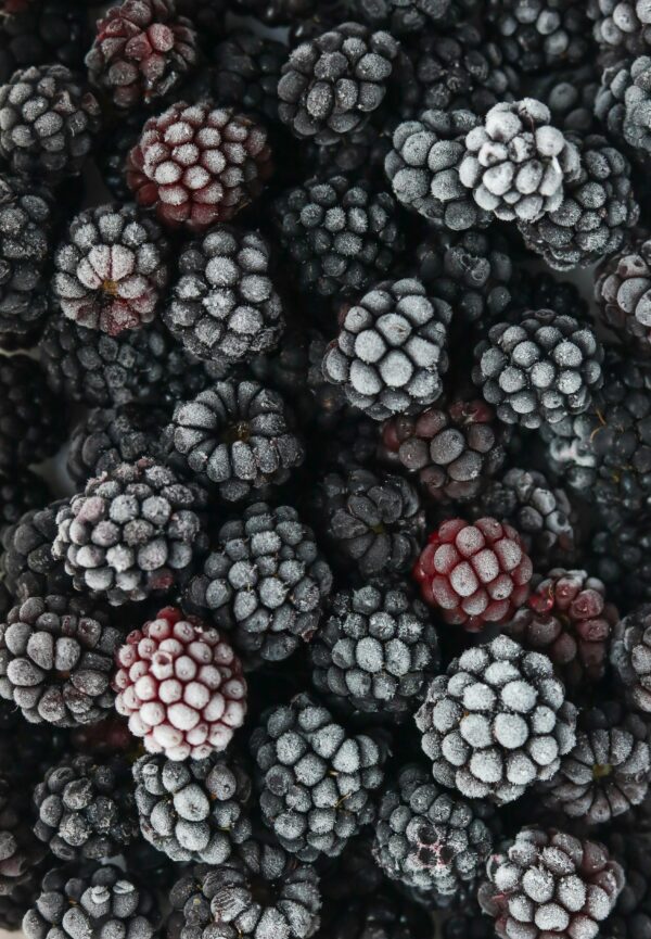 Close-up of fresh frozen blackberries covered in hoarfrost, showcasing texture and freshness.