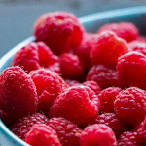 berry, fruit, healthy, eat, summer, red, sweet, berries, vitamins, fresh, dessert, juicy, nature, breakfast, ripe, berry, berries, berries, berries, berries, berries, nature, nature